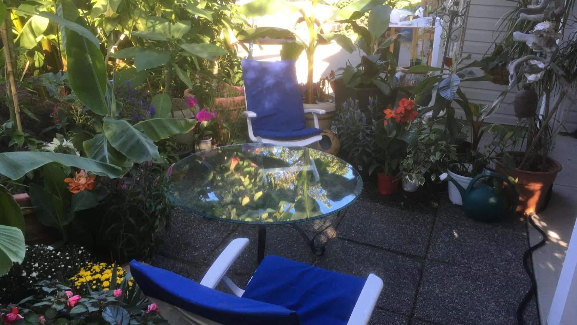 An Oasis By The Bay Apartment Cowichan Bay Canada